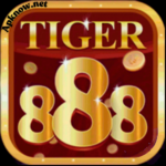 Tiger 888 ame