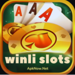 winli slots game