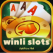 winli slots game