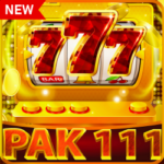 Pak 111 Game