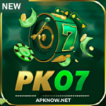 PK07 Game