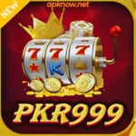 PKR 999 Game