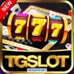 TG Slot Game