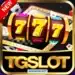 TG Slot Game